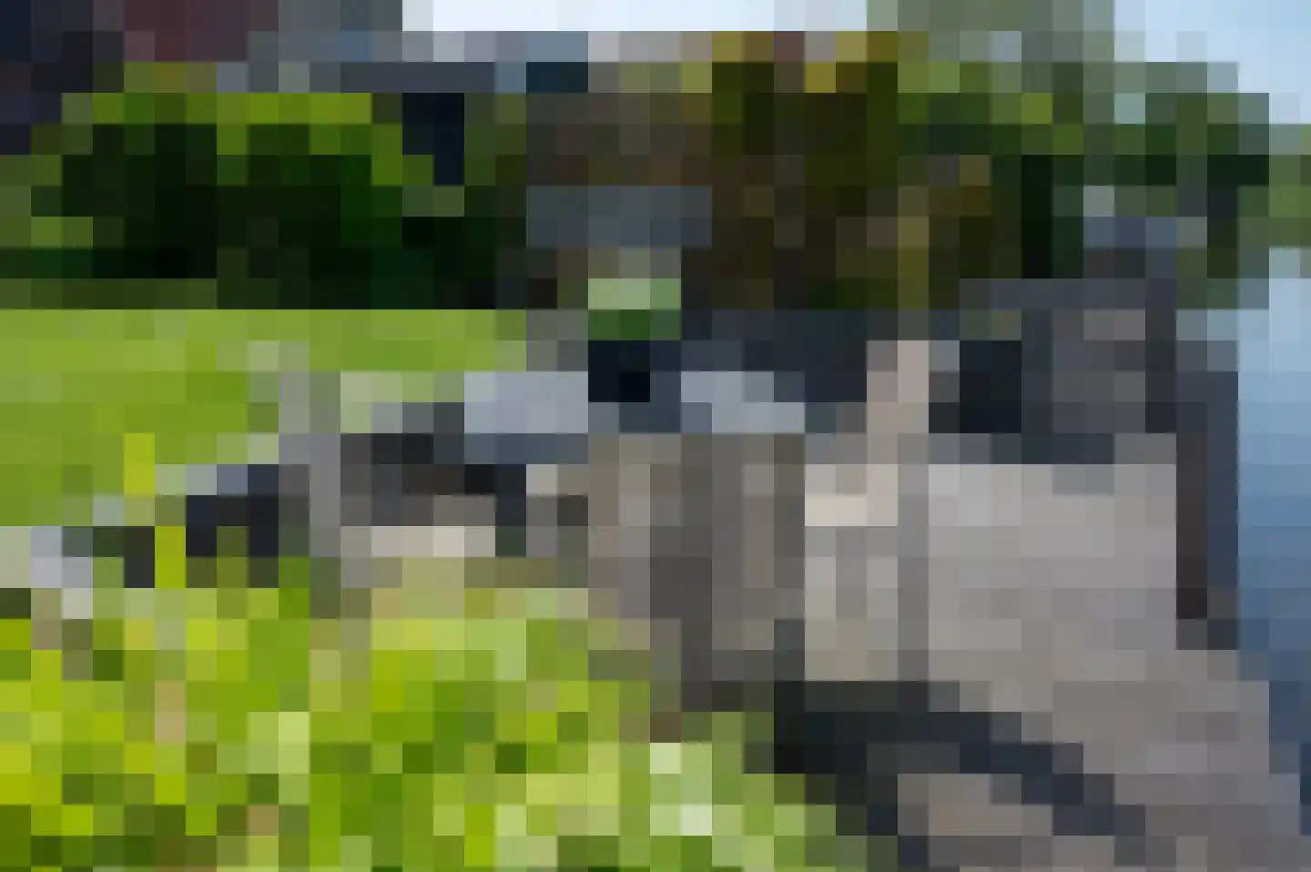 Tsjerkebuorren 21 Heeg thumbnail 25
