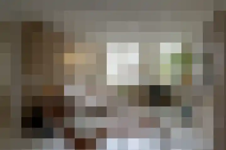 Tsjerkebuorren 21 Heeg thumbnail 5