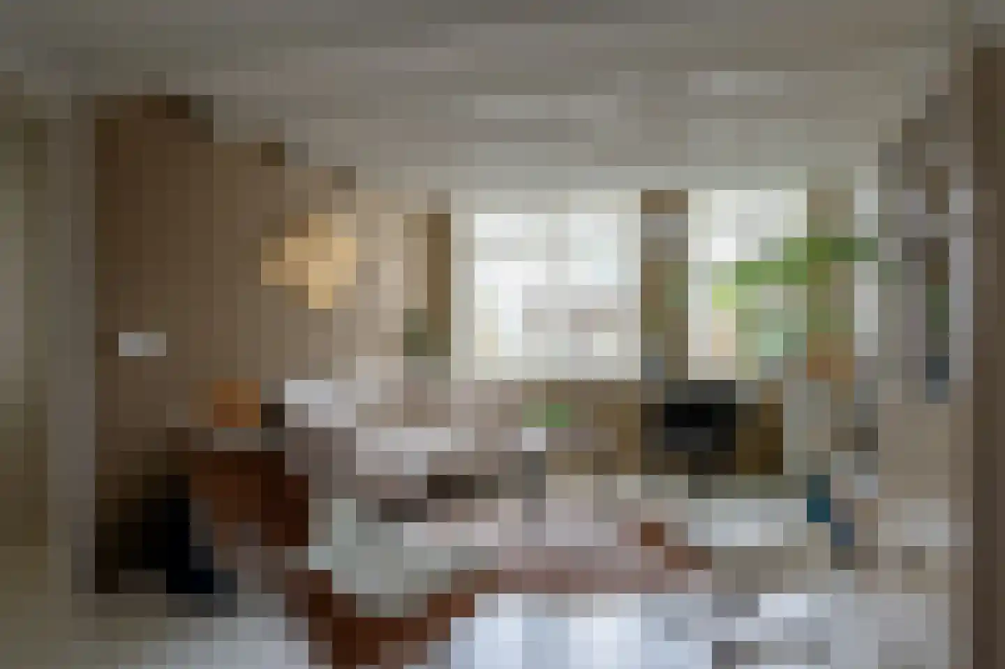 Tsjerkebuorren 21 Heeg thumbnail 5