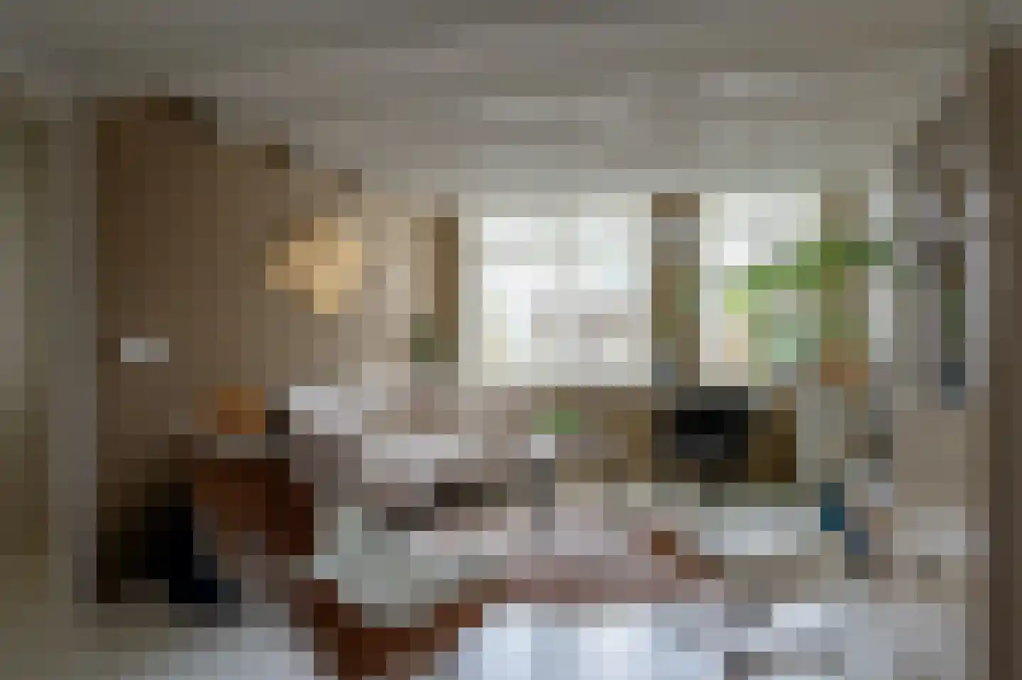 Tsjerkebuorren 21 Heeg thumbnail 7