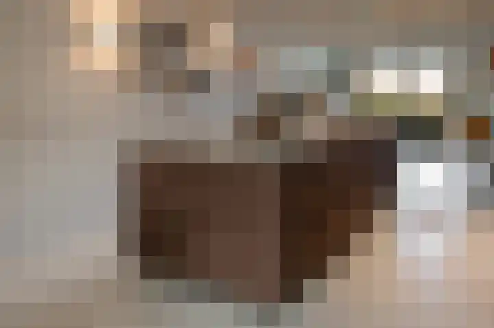 Tsjerkebuorren 21 Heeg thumbnail 8