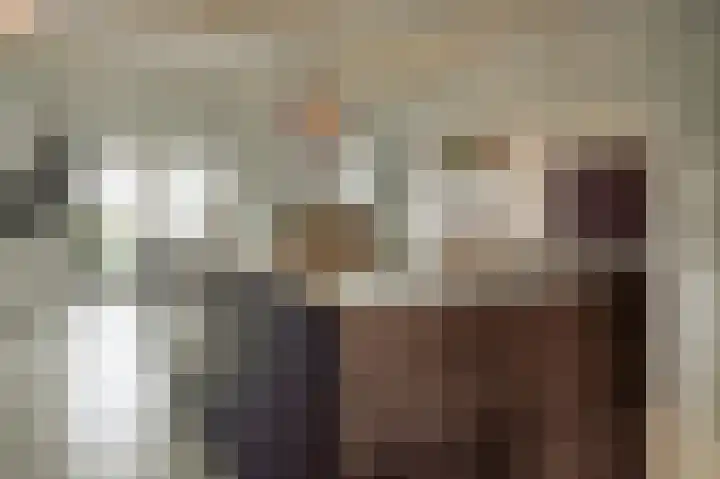 Tsjerkebuorren 21 Heeg thumbnail 9