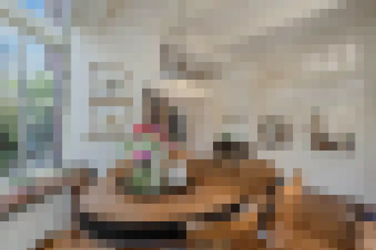 Tsjerkebuorren 25 Easterein thumbnail 20