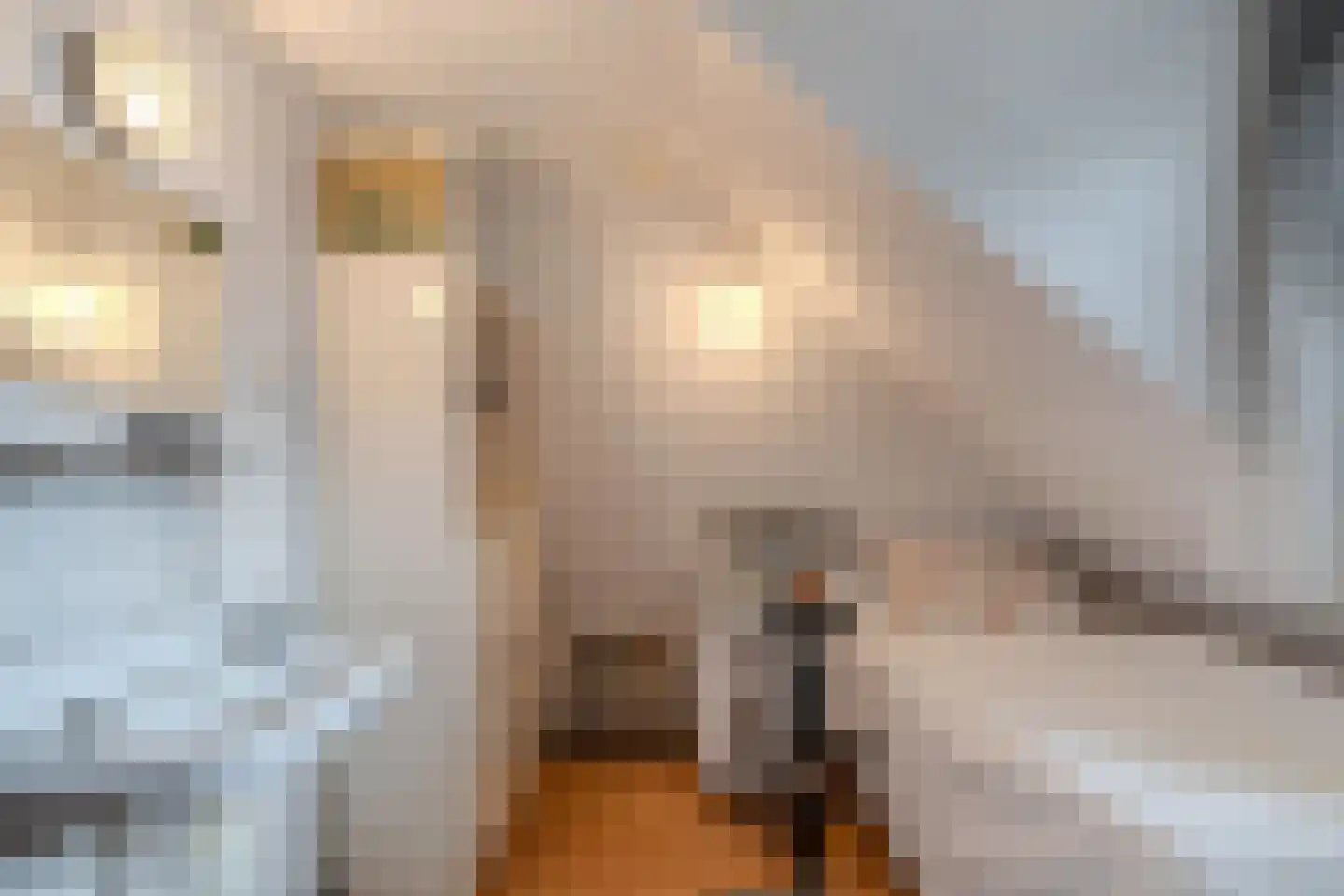 Tsjerkebuorren 25 Easterein thumbnail 38