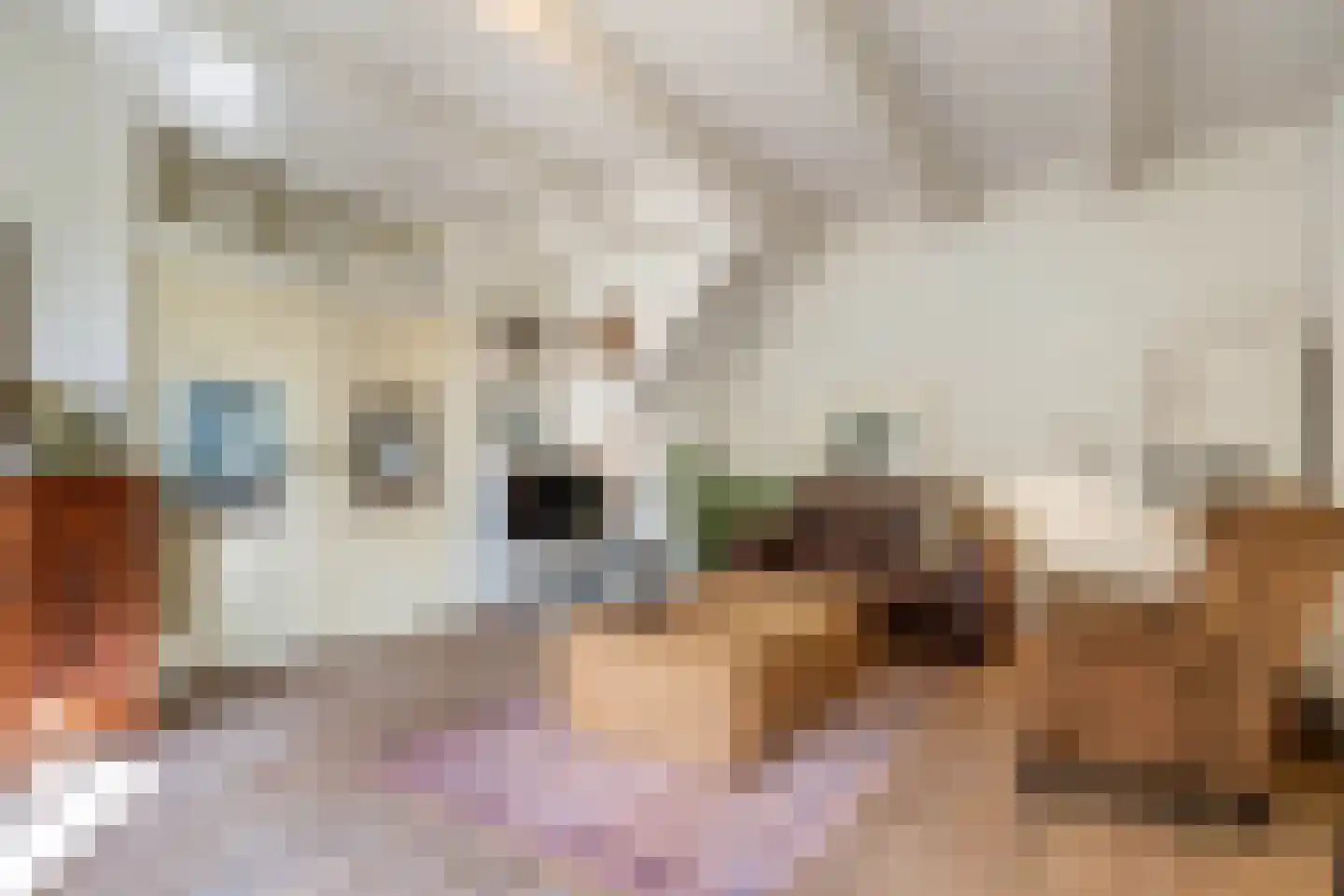 Tsjerkebuorren 25 Easterein thumbnail 4