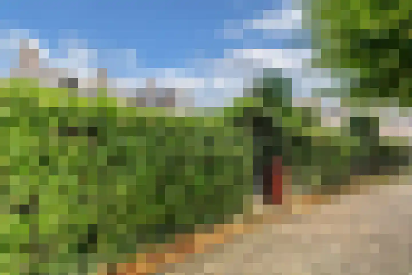 Tsjerkebuorren 25 Easterein thumbnail 65