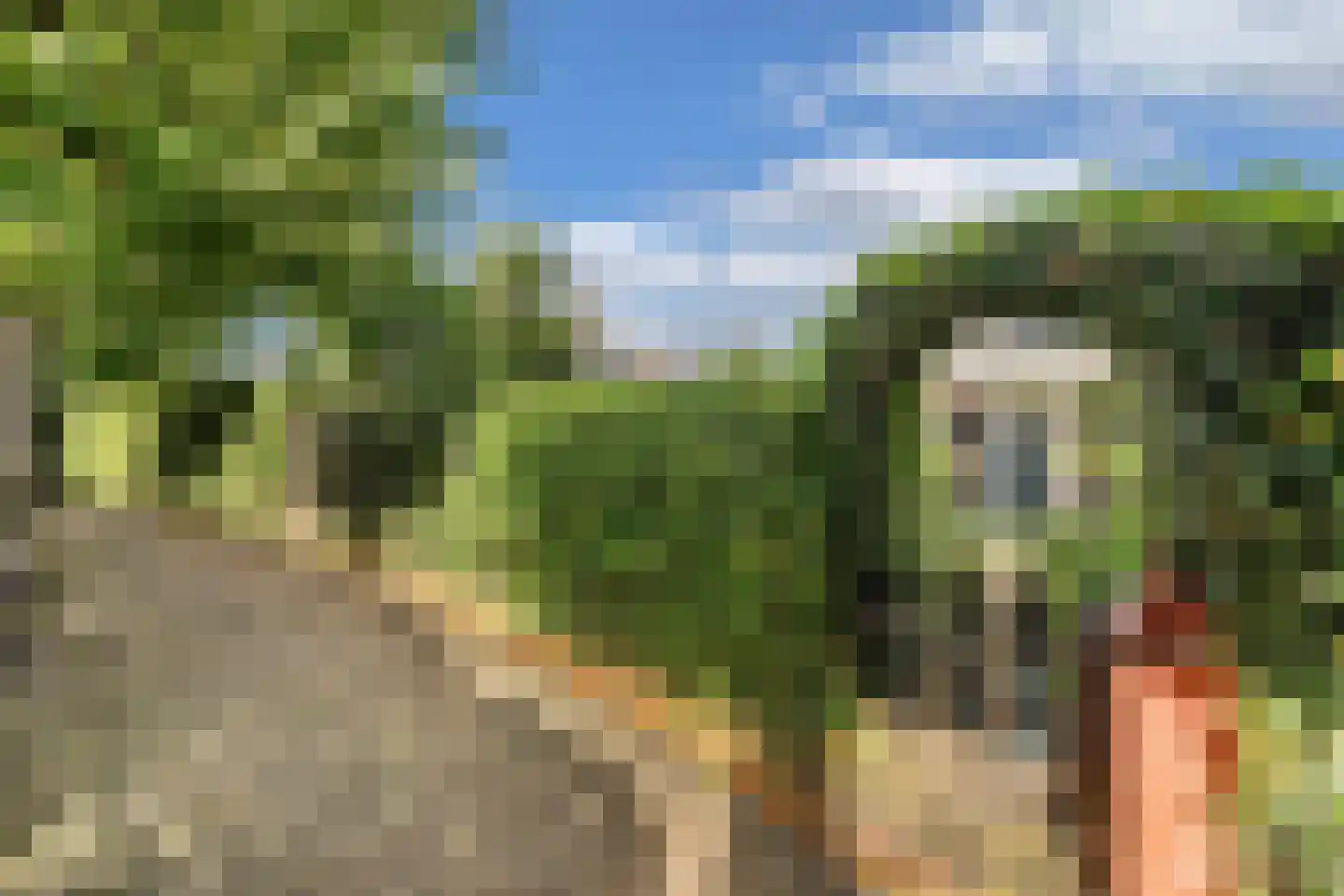 Tsjerkebuorren 25 Easterein thumbnail 66