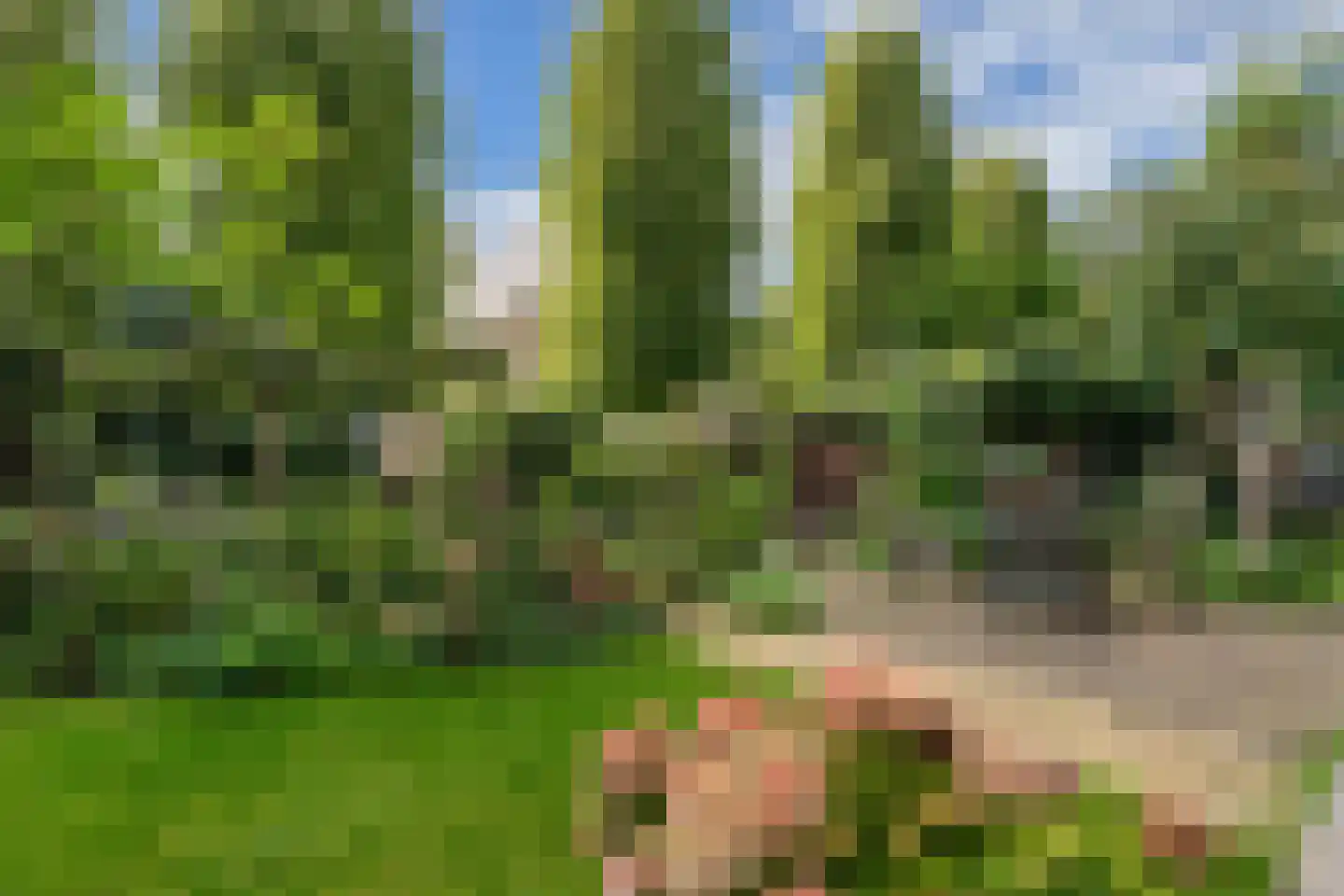 Tsjerkebuorren 25 Easterein thumbnail 68