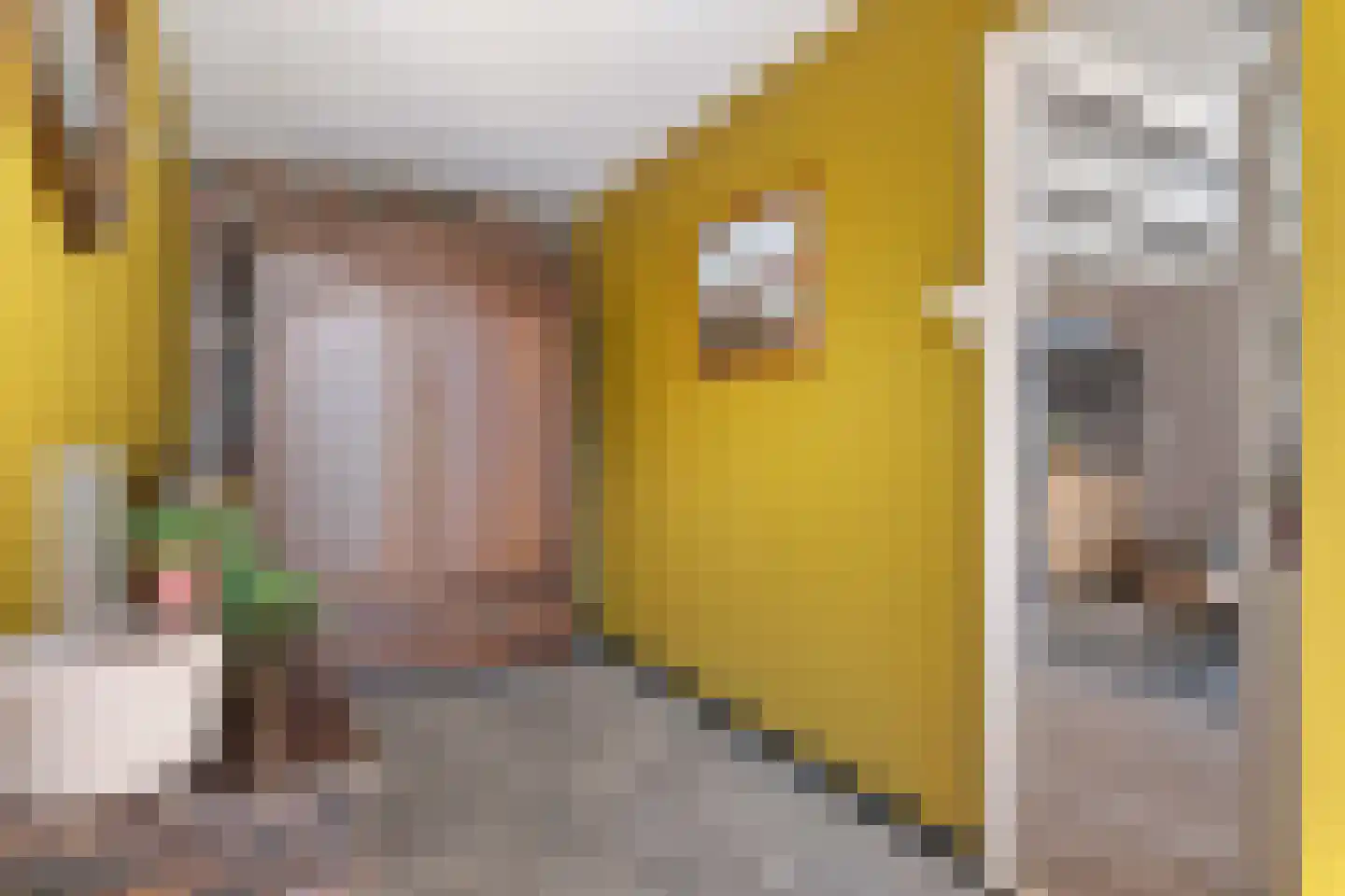 Tsjerkebuorren 27 Aldeboarn thumbnail 26