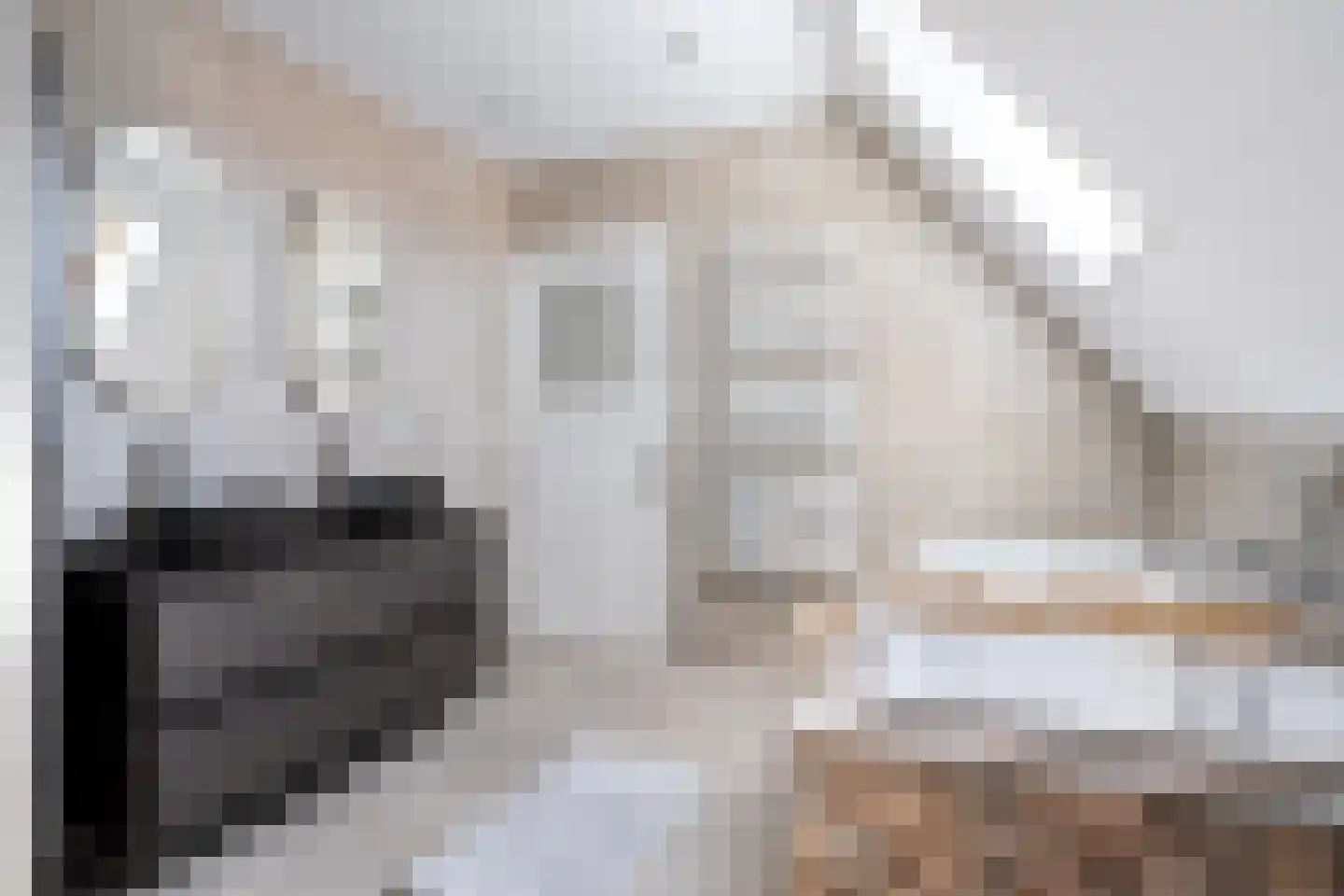 Tsjerkebuorren 27 Aldeboarn thumbnail 36