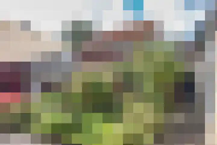 Tsjerkebuorren 31 Easterein thumbnail 33