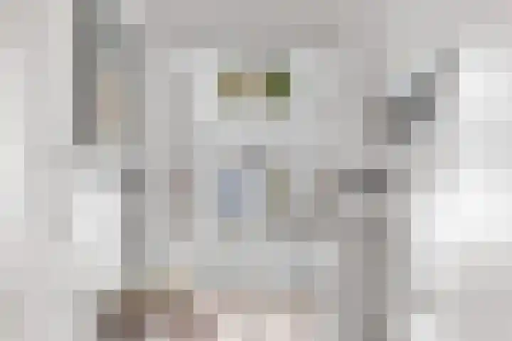 Tsjerkebuorren 31 Easterein thumbnail 4