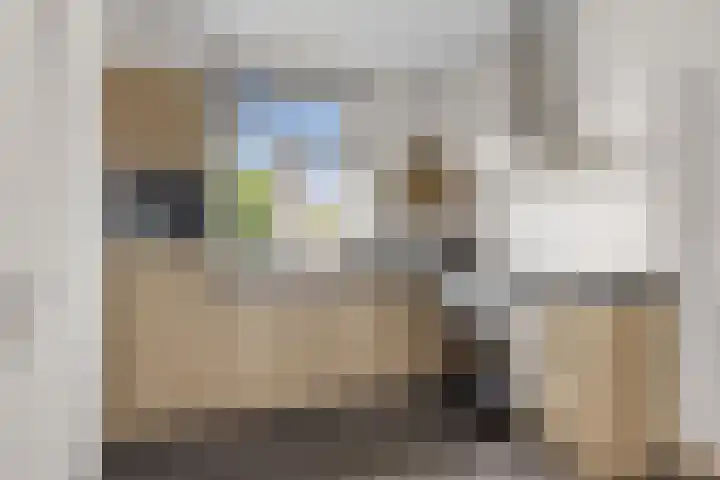 Tsjerkebuorren 48 Oppenhuizen thumbnail 13