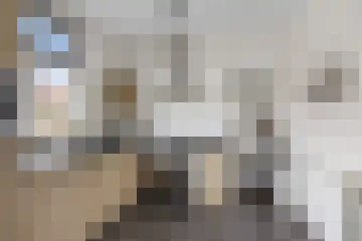 Tsjerkebuorren 48 Oppenhuizen thumbnail 14