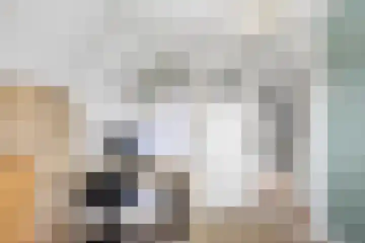 Tsjerkebuorren 48 Oppenhuizen thumbnail 20