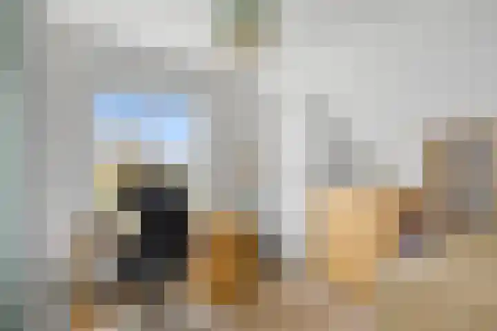 Tsjerkebuorren 48 Oppenhuizen thumbnail 21