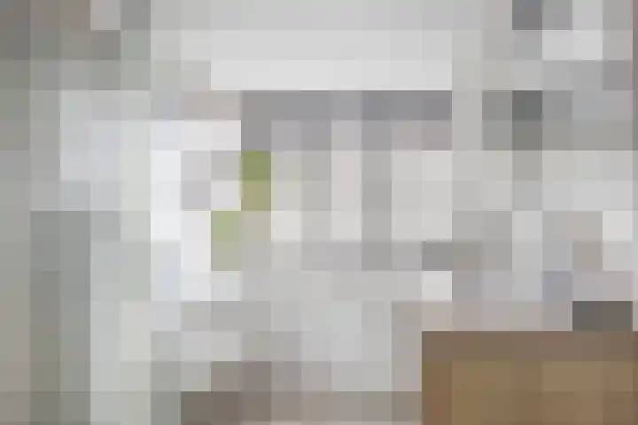 Tsjerkebuorren 48 Oppenhuizen thumbnail 24