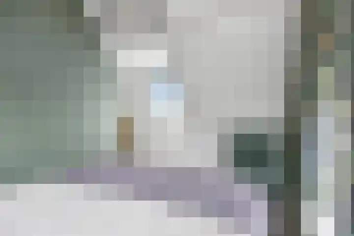 Tsjerkebuorren 48 Oppenhuizen thumbnail 29