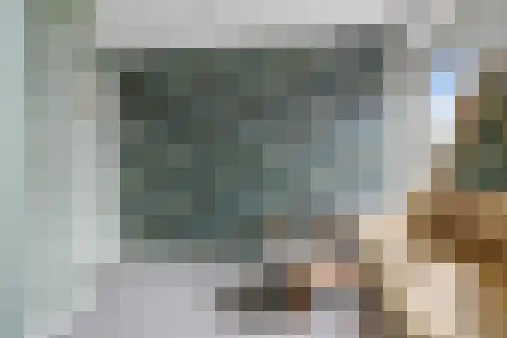 Tsjerkebuorren 48 Oppenhuizen thumbnail 30