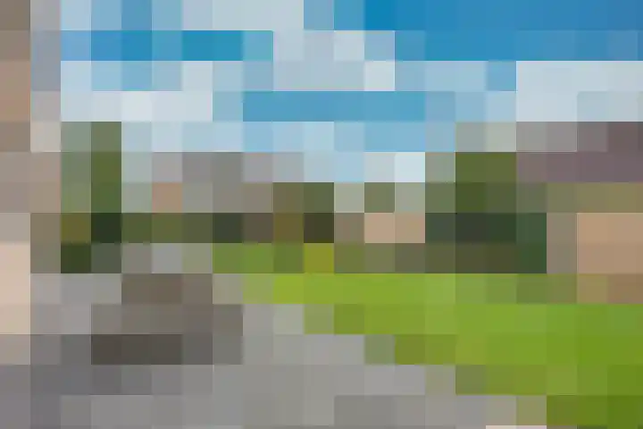 Tsjerkebuorren 48 Oppenhuizen thumbnail 38
