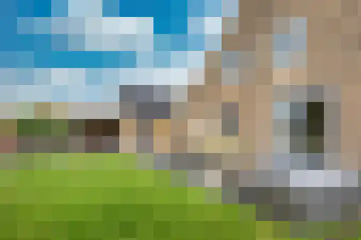 Tsjerkebuorren 48 Oppenhuizen thumbnail 39