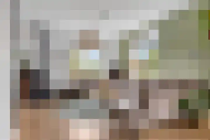 Tsjerkebuorren 48 Oppenhuizen thumbnail 4