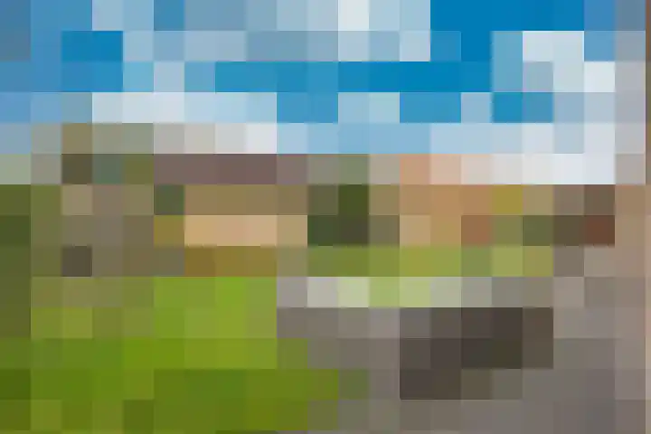 Tsjerkebuorren 48 Oppenhuizen thumbnail 40