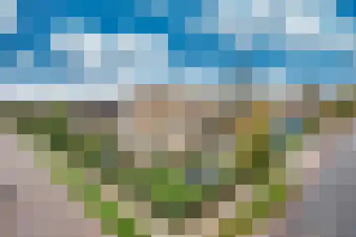 Tsjerkebuorren 48 Oppenhuizen thumbnail 41