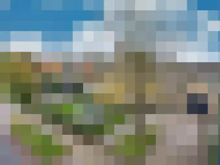 Tsjerkebuorren 48 Oppenhuizen thumbnail 42