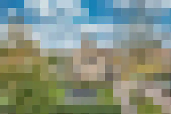 Tsjerkebuorren 48 Oppenhuizen thumbnail 43