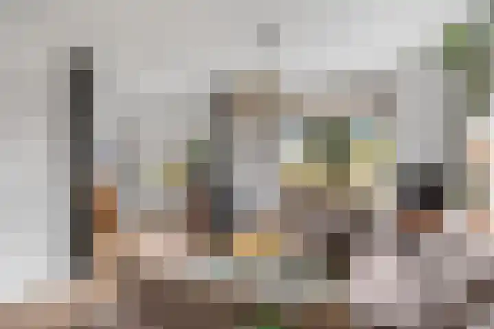 Tsjerkebuorren 48 Oppenhuizen thumbnail 5
