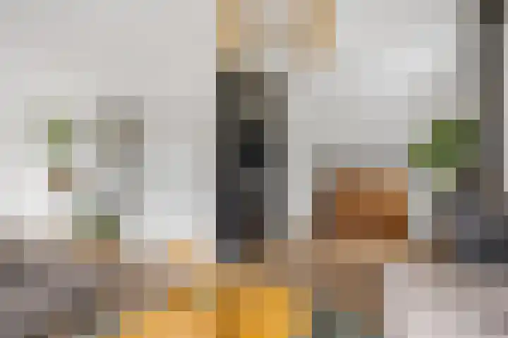 Tsjerkebuorren 48 Oppenhuizen thumbnail 6