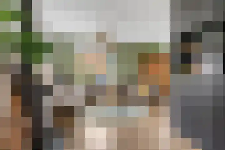 Tsjerkebuorren 48 Oppenhuizen thumbnail 7