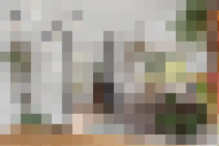 Tsjerkebuorren 48 Oppenhuizen thumbnail 9