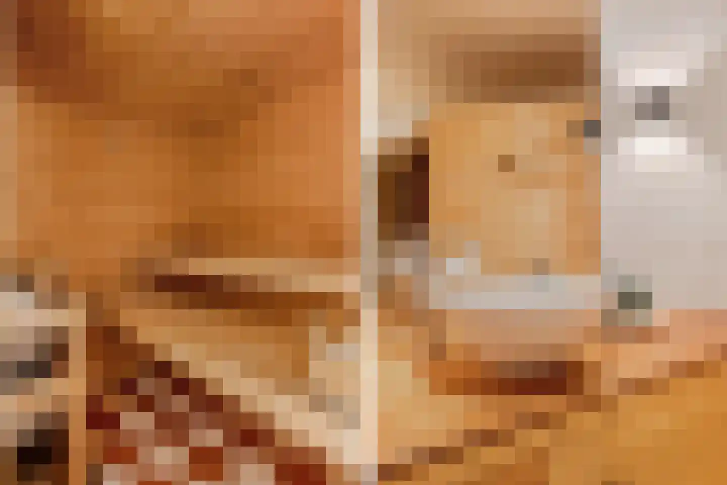 Tsjerkebuorren 5 Aldeboarn thumbnail 13