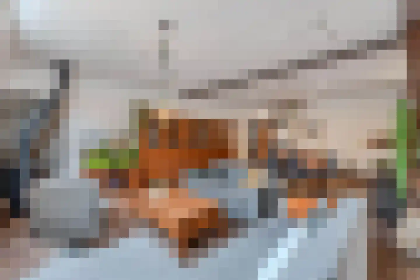Tsjerkebuorren 5 Aldeboarn thumbnail 17