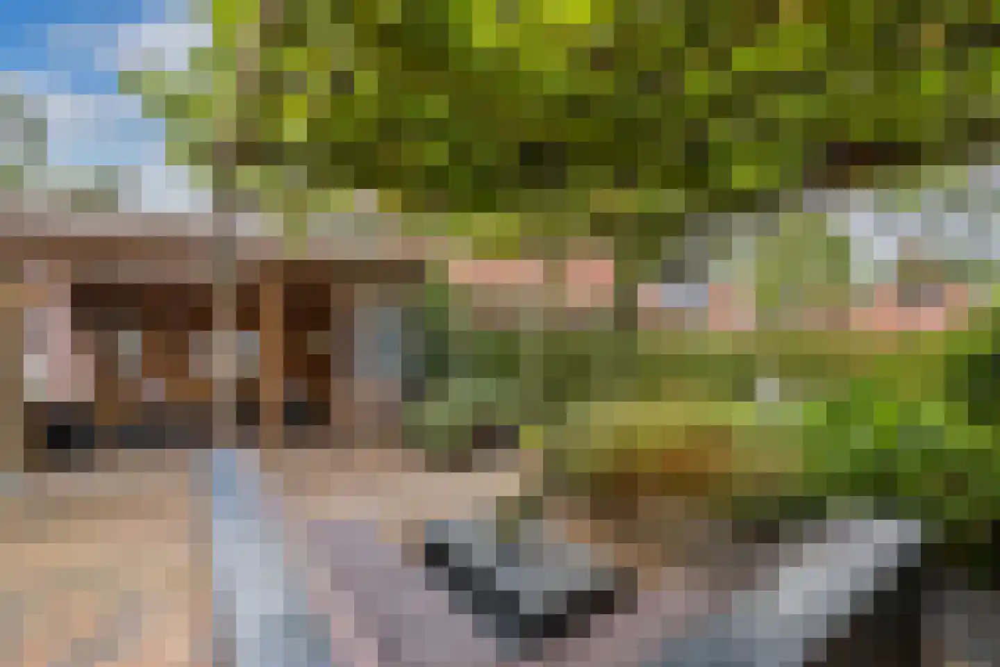 Tsjerkebuorren 5 Aldeboarn thumbnail 22