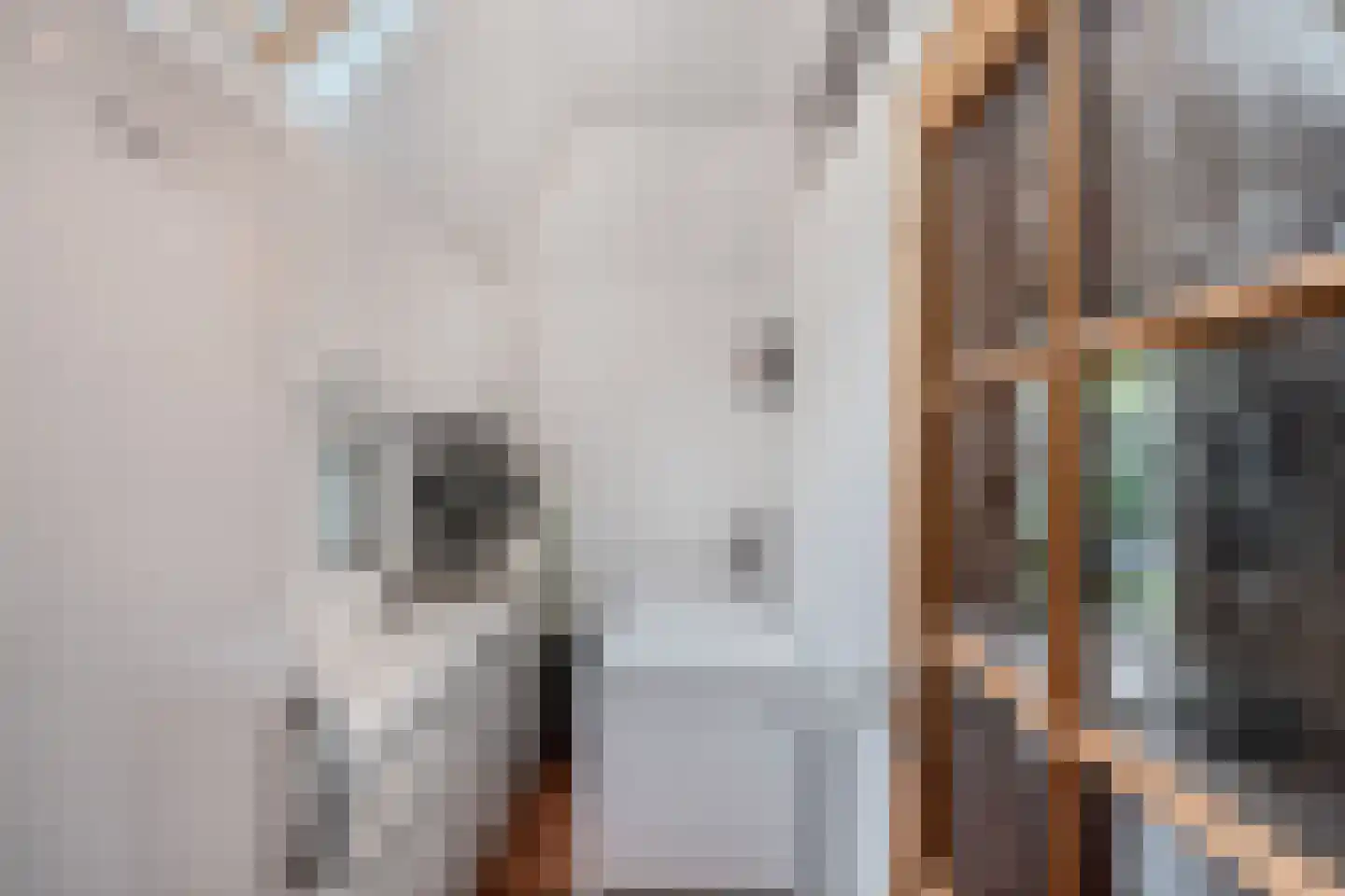 Tsjerkebuorren 5 Aldeboarn thumbnail 23