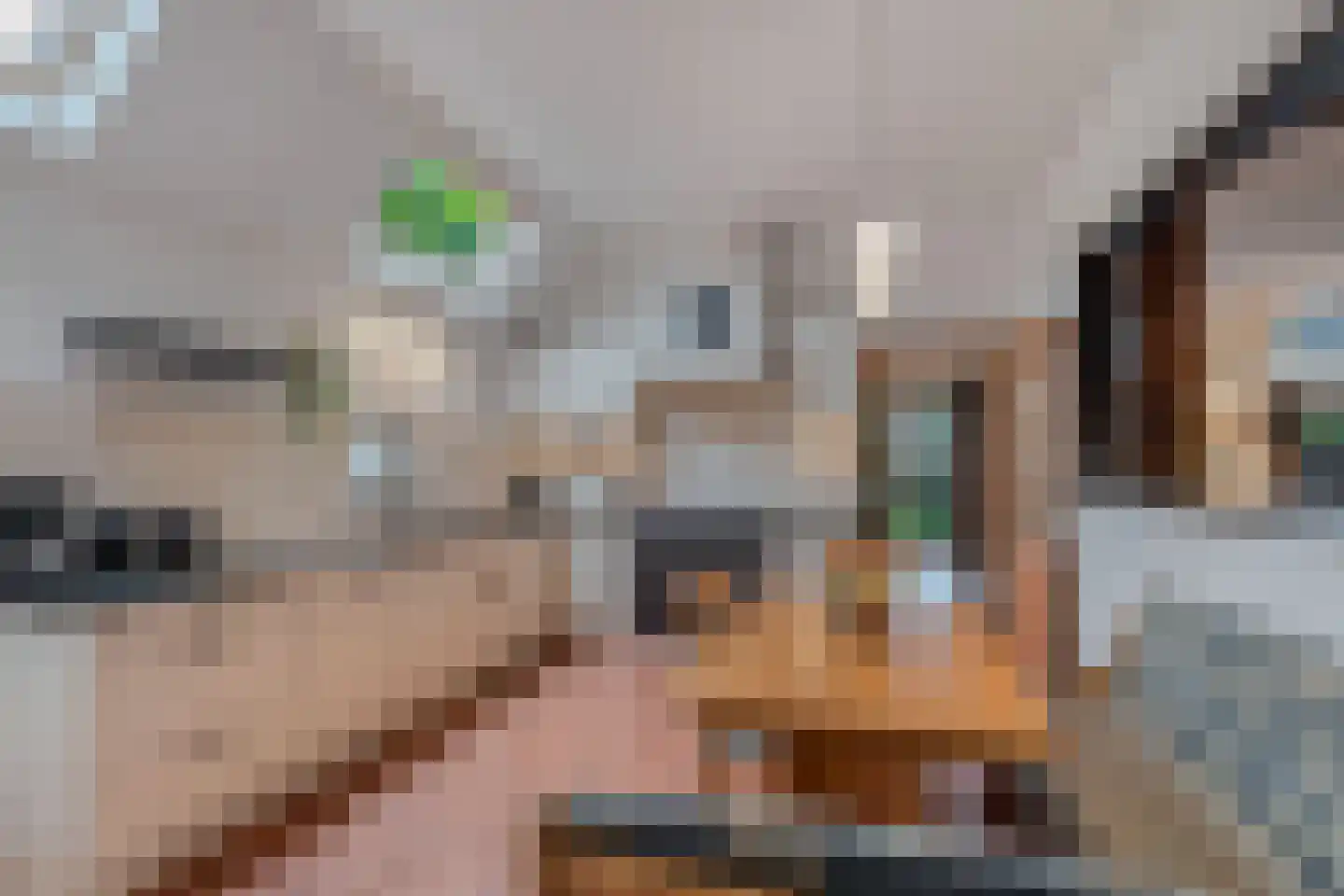 Tsjerkebuorren 5 Aldeboarn thumbnail 25