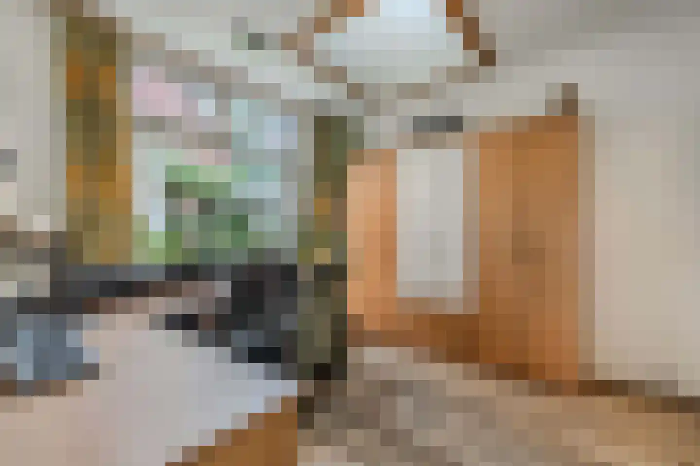 Tsjerkebuorren 5 Aldeboarn thumbnail 29