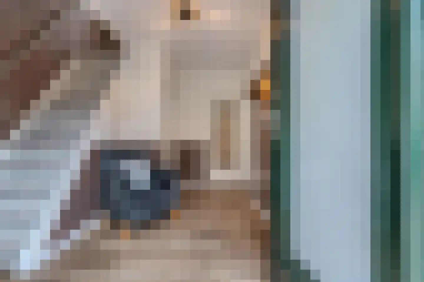 Tsjerkebuorren 5 Aldeboarn thumbnail 31