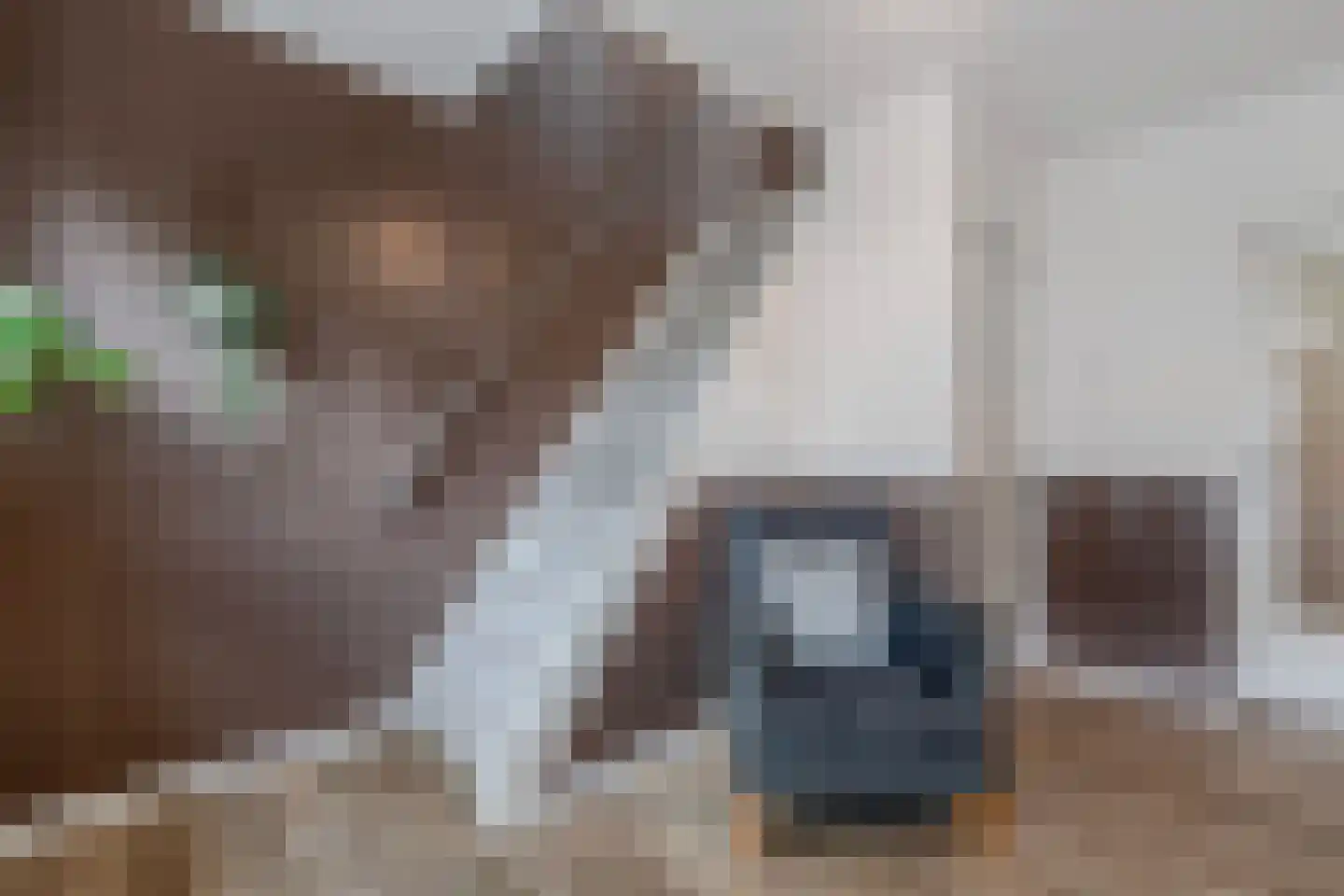 Tsjerkebuorren 5 Aldeboarn thumbnail 32