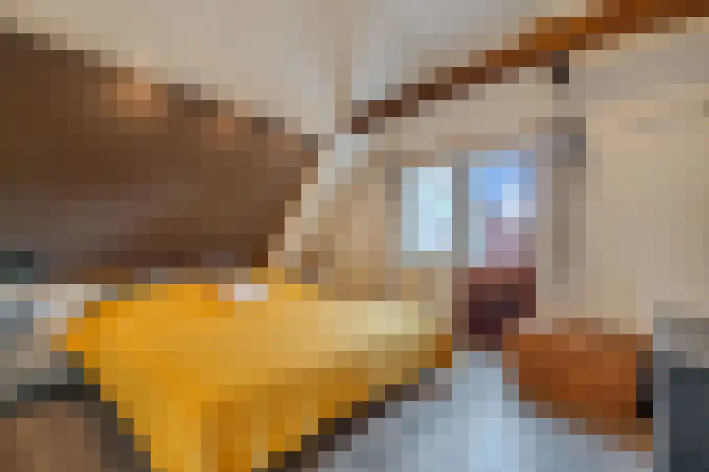 Tsjerkebuorren 5 Aldeboarn thumbnail 38