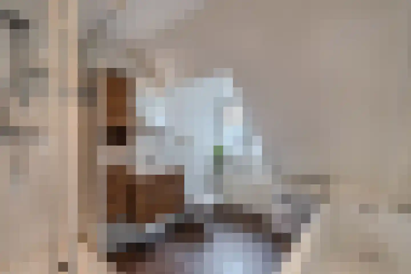 Tsjerkebuorren 5 Aldeboarn thumbnail 41