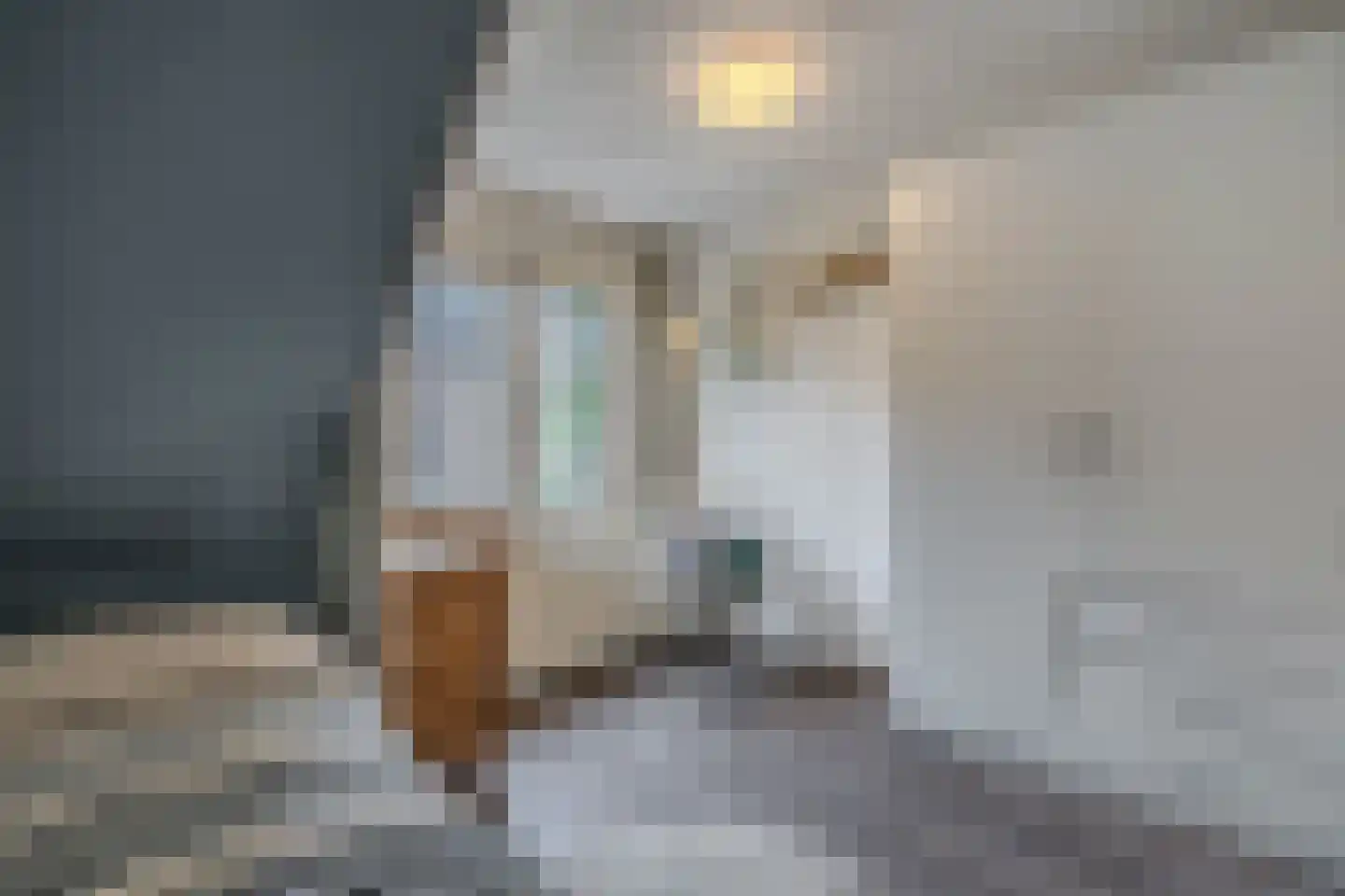 Tsjerkebuorren 5 Aldeboarn thumbnail 44