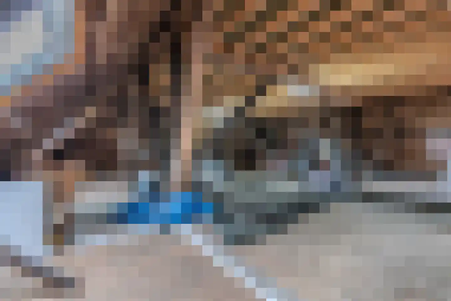 Tsjerkebuorren 5 Aldeboarn thumbnail 48