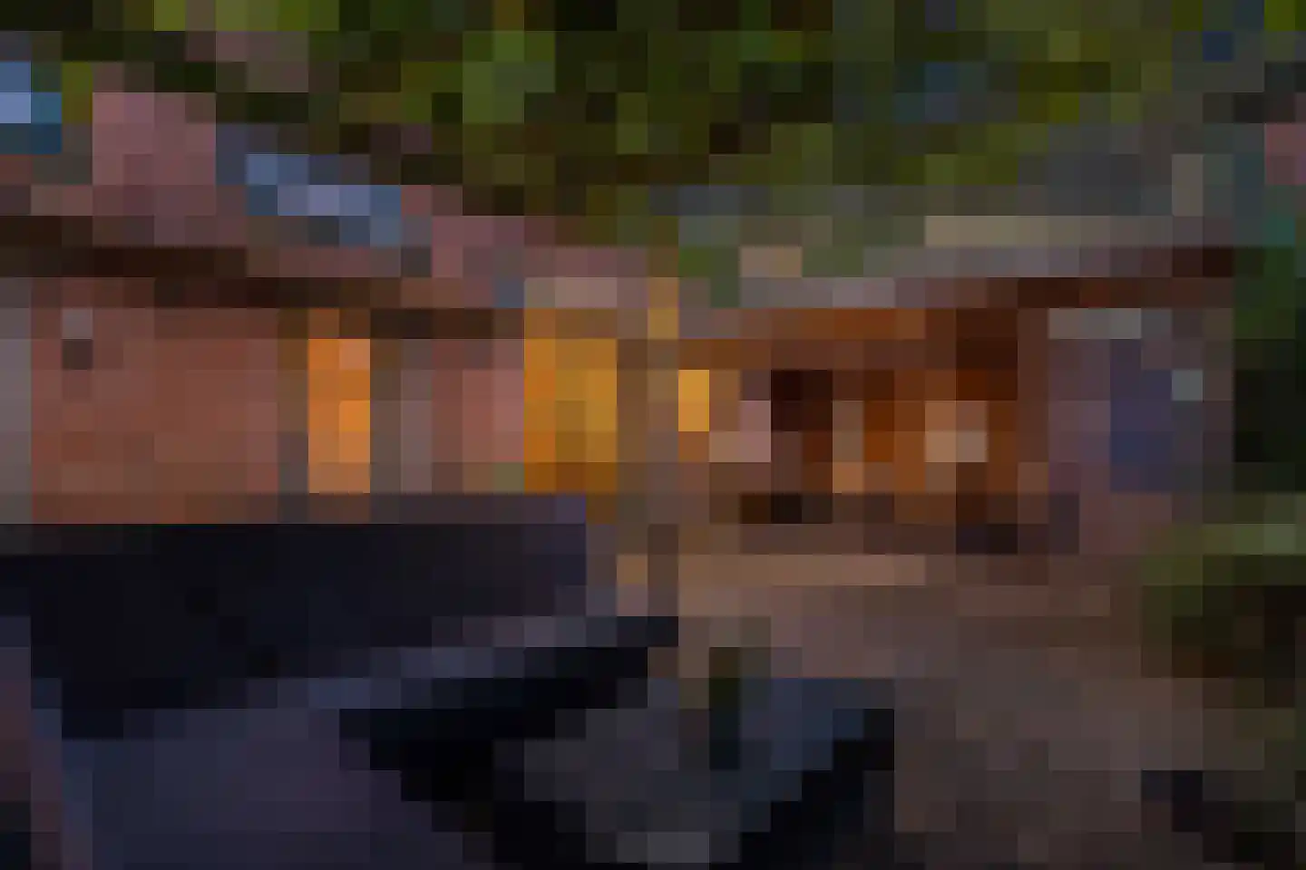Tsjerkebuorren 5 Aldeboarn thumbnail 5