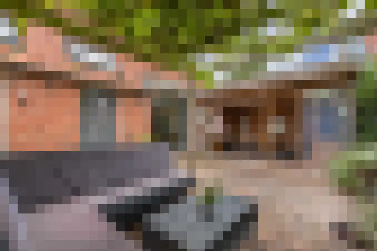 Tsjerkebuorren 5 Aldeboarn thumbnail 56
