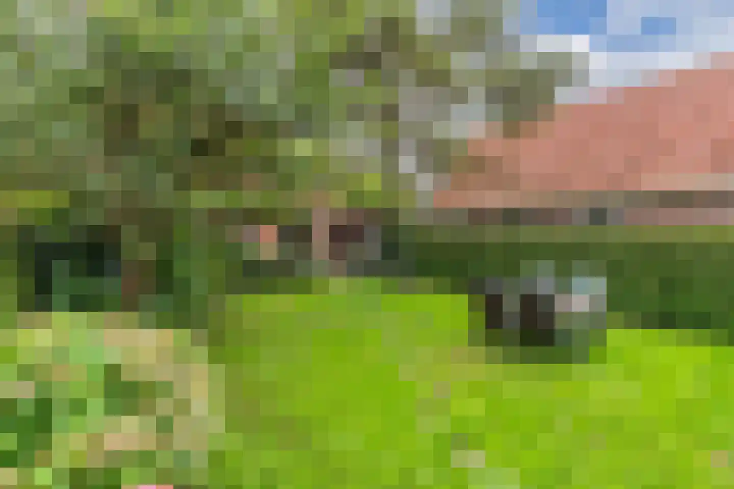 Tsjerkebuorren 5 Aldeboarn thumbnail 58
