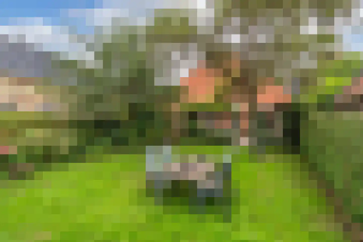Tsjerkebuorren 5 Aldeboarn thumbnail 59